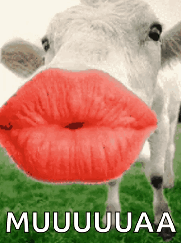 untitled.gif