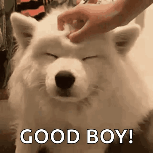 untitled.gif