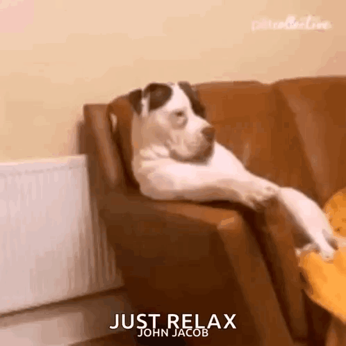 untitled.gif