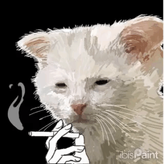 https://media.tenor.com/Evdon60GoiAAAAAC/quishilobie-cat.gif