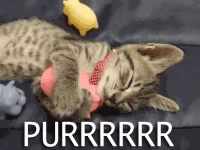 untitled.gif