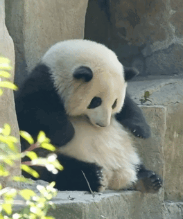 untitled.gif