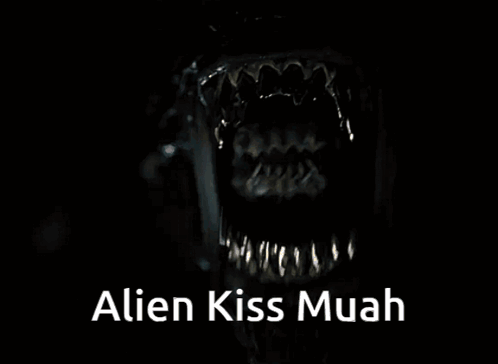 untitled.gif
