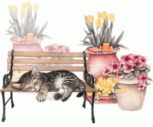untitled.gif