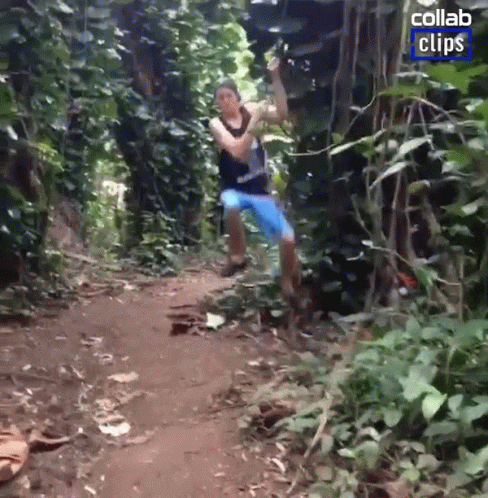 untitled.gif