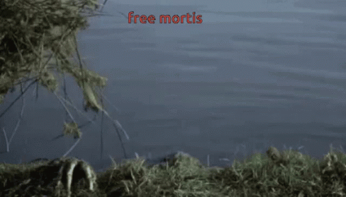 untitled.gif