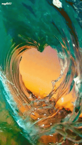 untitled.gif