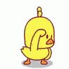 untitled.gif