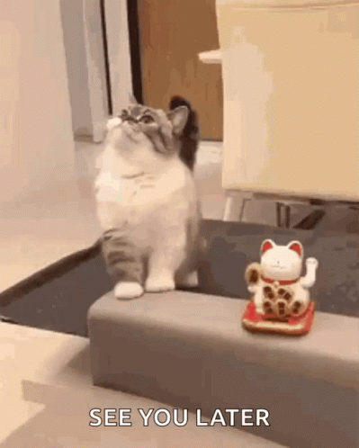untitled.gif
