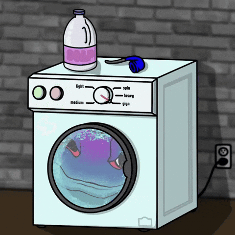 washing machine