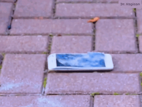 untitled.gif