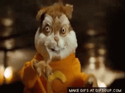 untitled.gif