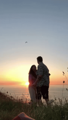 untitled.gif