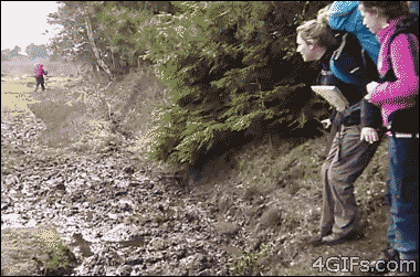 untitled.gif