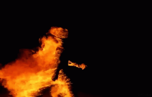 untitled.gif