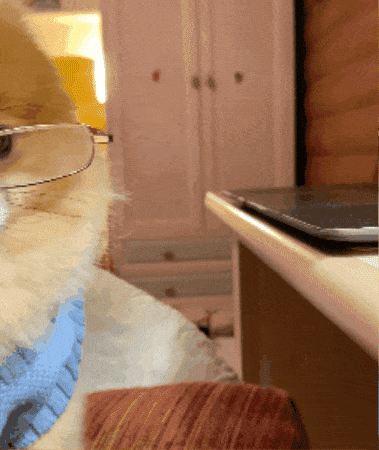 untitled.gif