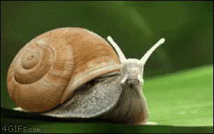 untitled.gif