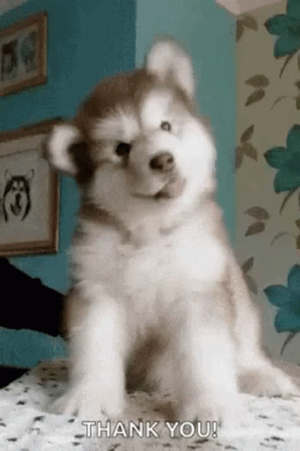 untitled.gif