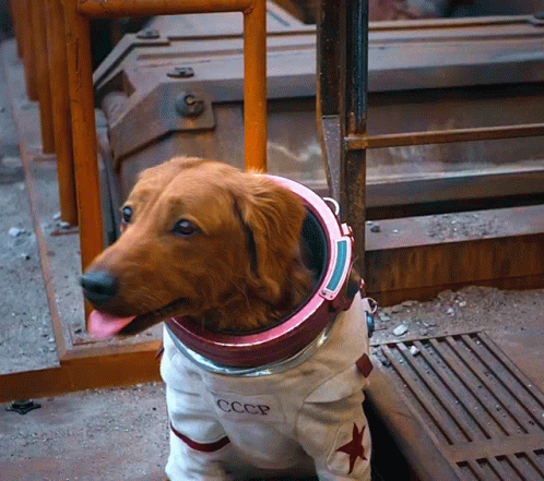 untitled.gif