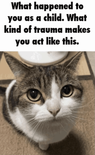 untitled.gif