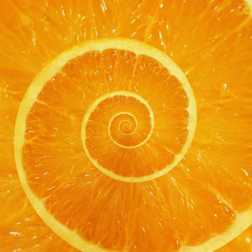 untitled.gif