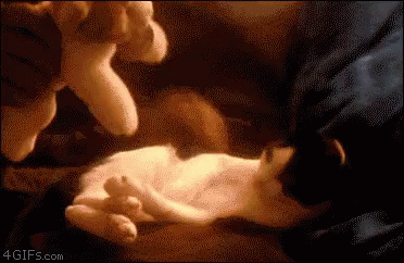 untitled.gif