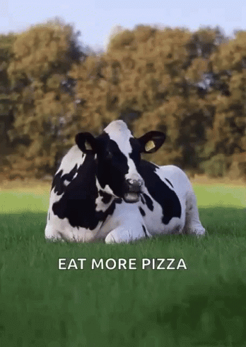untitled.gif