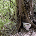 untitled.gif