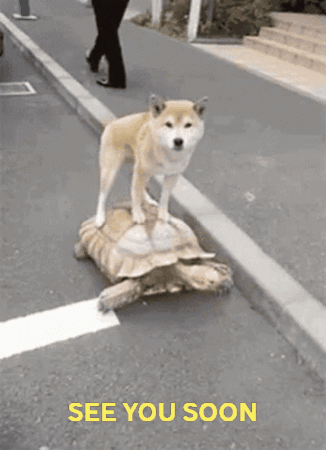 untitled.gif