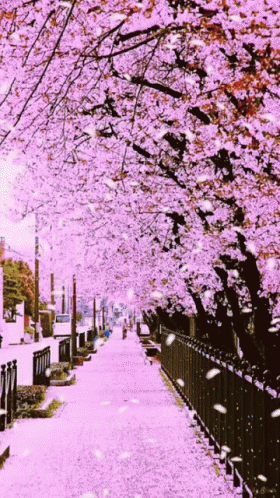 untitled.gif