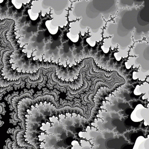 untitled.gif