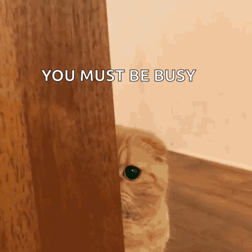 gif1