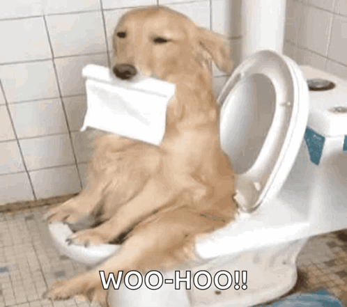 untitled.gif