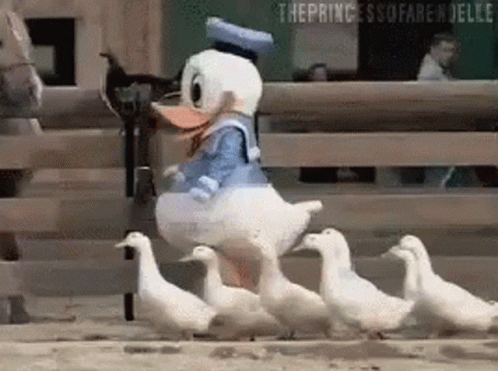 untitled.gif