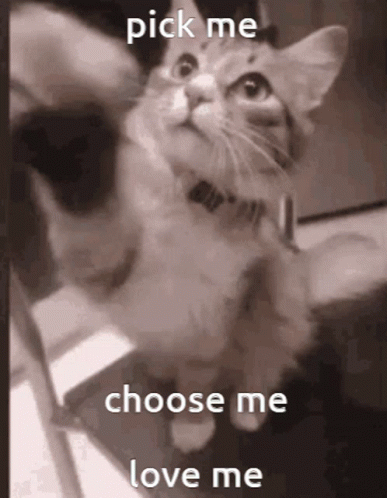 untitled.gif