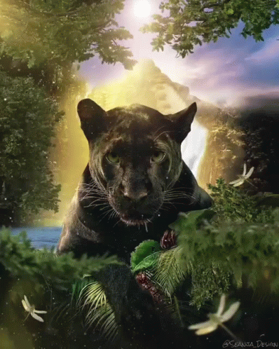 untitled.gif