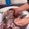 untitled.gif