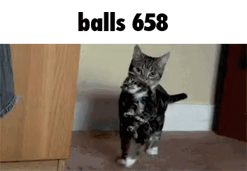 untitled.gif