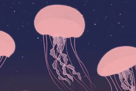 untitled.gif