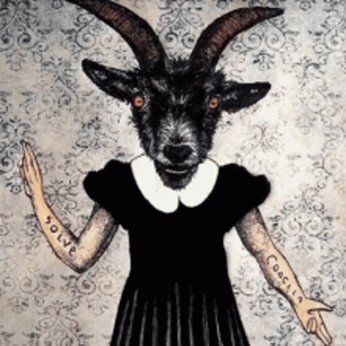 untitled.gif