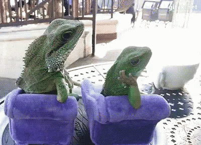 untitled.gif