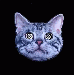 untitled.gif