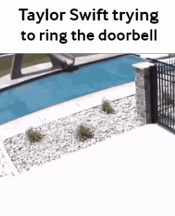 untitled.gif