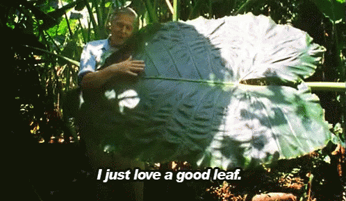 untitled.gif