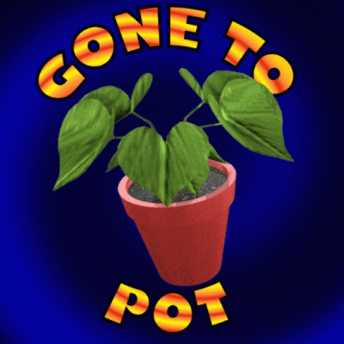 untitled.gif