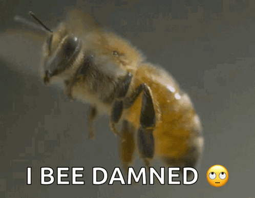untitled.gif