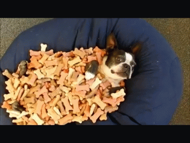untitled.gif