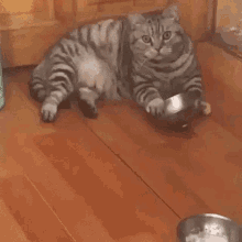 untitled.gif