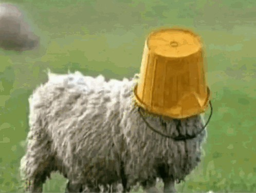 untitled.gif
