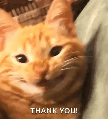 untitled.gif